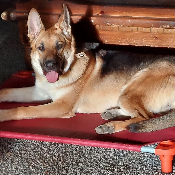 Meet your Posher, Andy - Picture 1 of 1